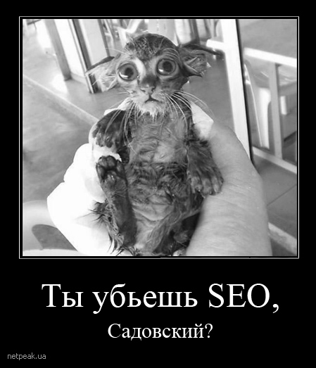 Александр Садовский - убийца SEO?